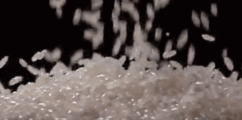 123123.gif
